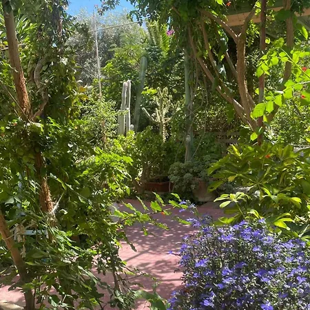 Lilo's Livadi (Astypalaia)