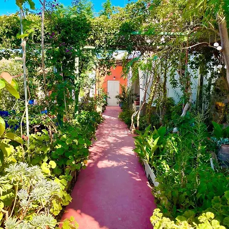 Lilo's Lejlighed Livadi (Astypalaia)