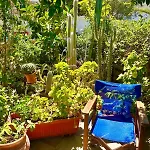 Lilo's Apartmán *