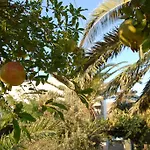 Lilo's Livadi (Astypalaia)