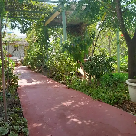 Apartamento Lilo's Livadi (Astypalaia)
