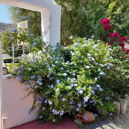 Lilo's Appartamento Livadi (Astypalaia)