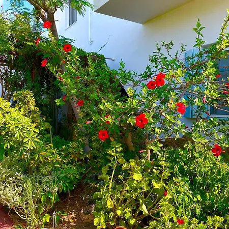 Lilo's Apartment Livadi (Astypalaia)