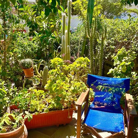 Lilo's Apartament *