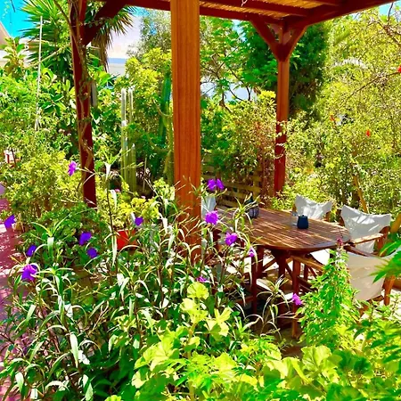 Apartment Lilo's Livadi (Astypalaia)