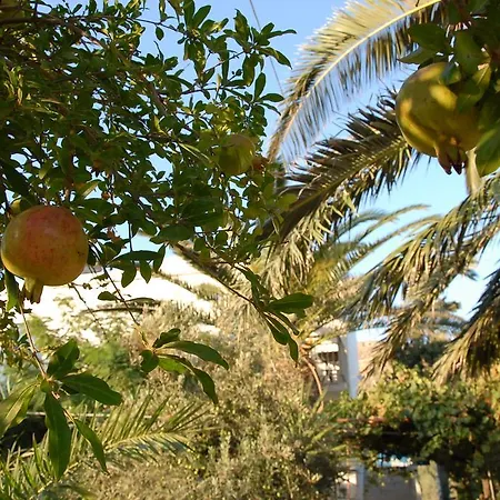 Lilo's Livadi (Astypalaia)