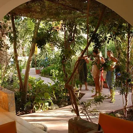 Apartamento Lilo's Livadi (Astypalaia)