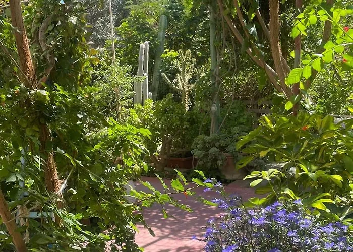 Lilo's Livadi (Astypalaia)