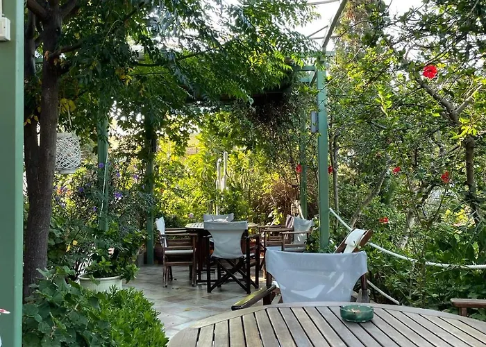 公寓 Lilo's Livadi (Astypalaia)