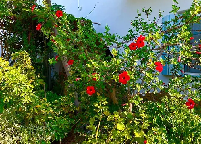 Lilo's Appartamento Livadi (Astypalaia)