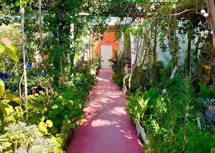 Lilo's Daire Livadi (Astypalaia)