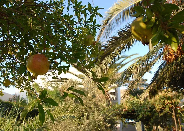 Lilo's Livadi (Astypalaia)